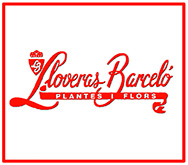 Comprar flors i plantes a Barcelona: Descobreix la teva floristeria a Sants