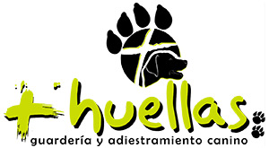Guardería canina en Lleida | + Huellas